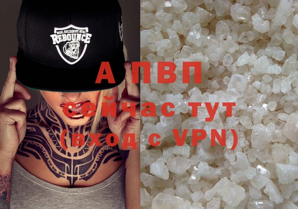 СК Верхний Тагил