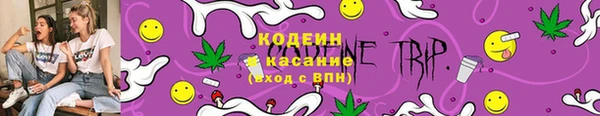 СК Верхний Тагил
