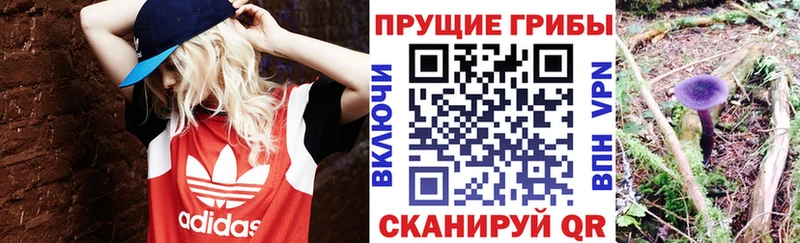 блэк спрут рабочий сайт  Чудово  Псилоцибиновые грибы ЛСД 